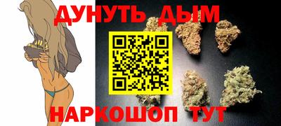 Альфа ПВП Краснознаменск