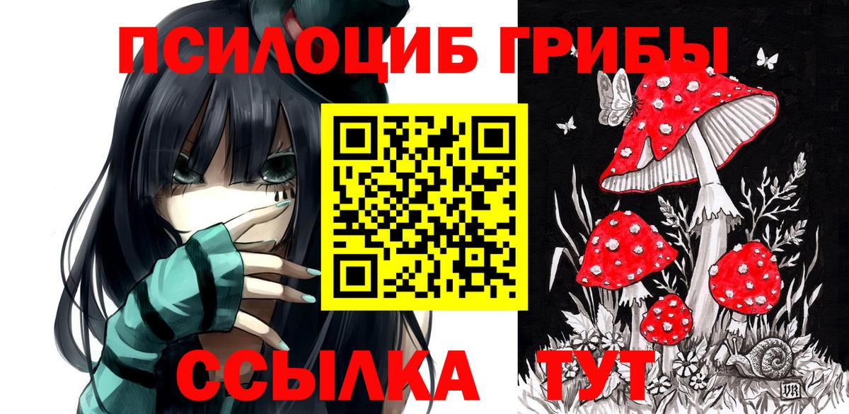 Псилоцибиновые грибы мицелий  Вход с VPN  Зеленодольск 