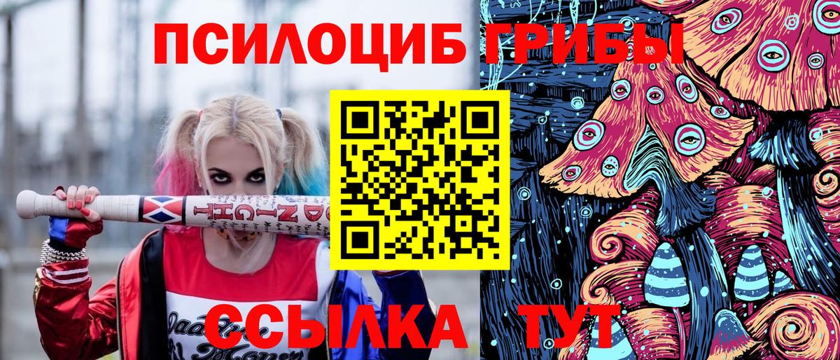 Галлюциногенные грибы прущие грибы Зеленодольск